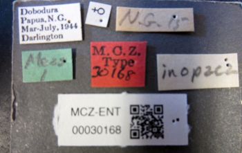 Media type: image;   Entomology 30168 Aspect: labels